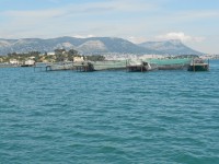 /album/galerie-de-photos-mes-blogs-2014-20152/dscn0674a-parcs-a-huitres-jpg1/